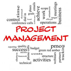 PMO Setup | Project Management Office Set up | How to set-up a PMO