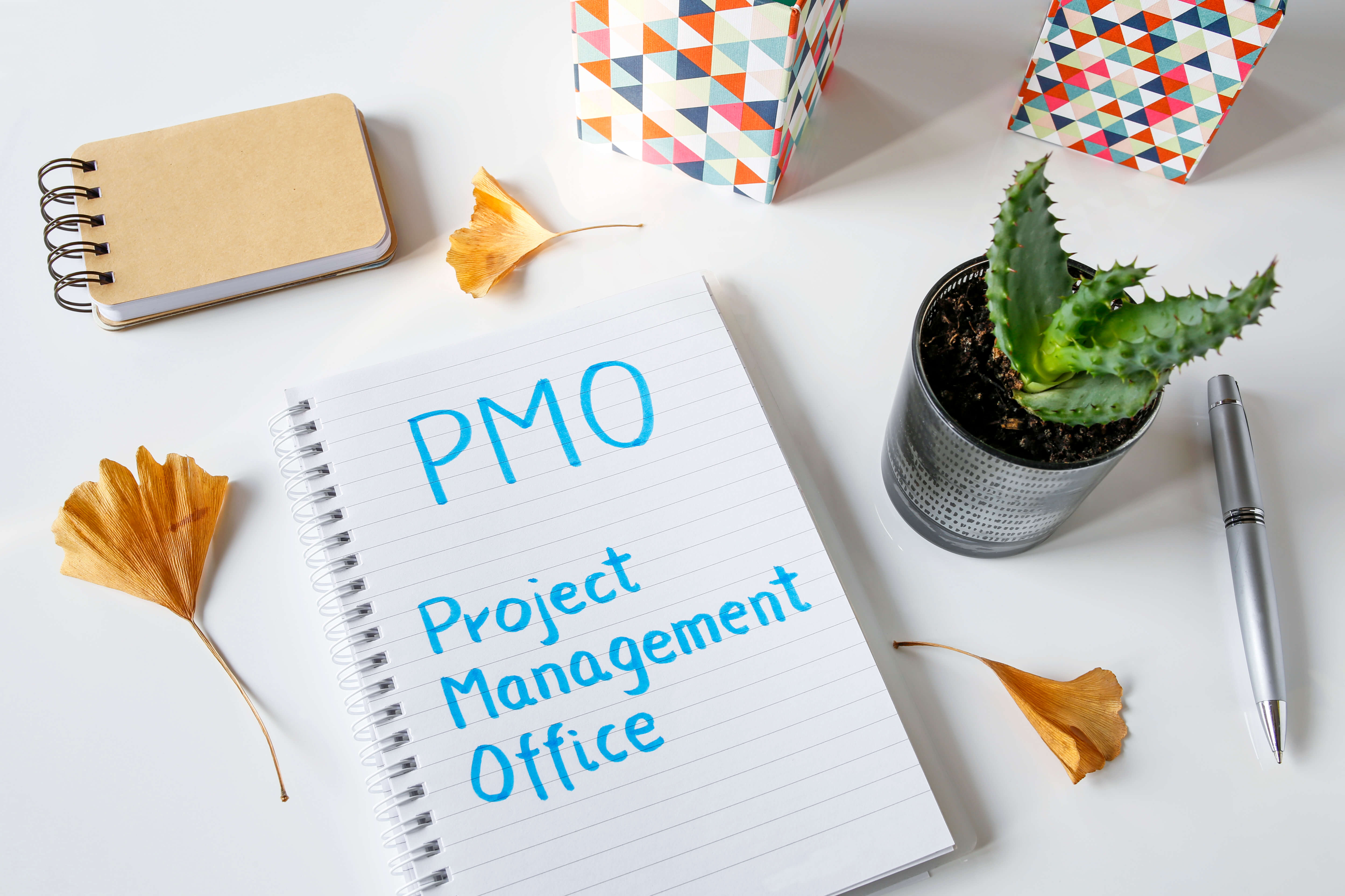 Types Of PMO Project Management Office PM Majik